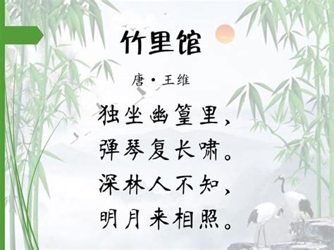 有關竹子的詩詞|竹子的诗句